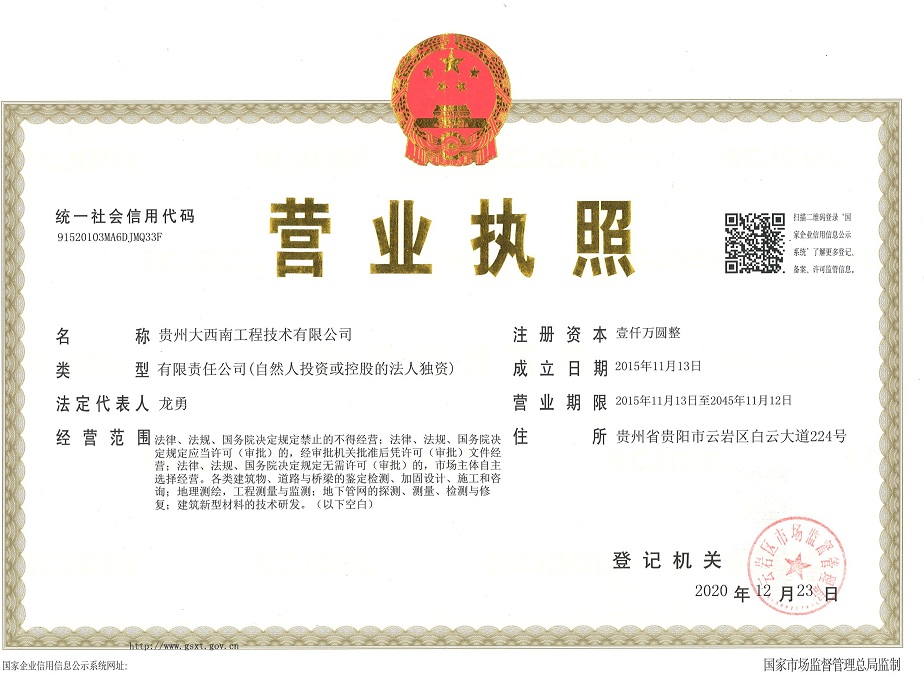 大西南技术最新营业执照正本最新(xiao).jpg